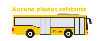 Vehicle Banner